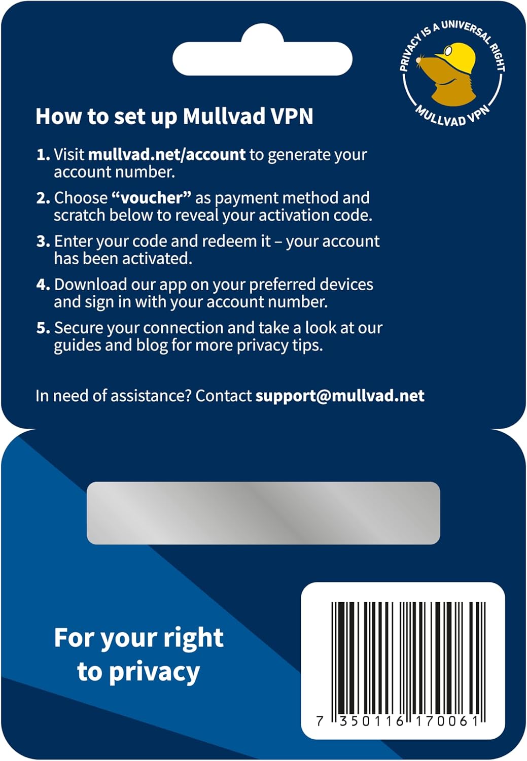 7151lQBJhlL._AC_SL1500_